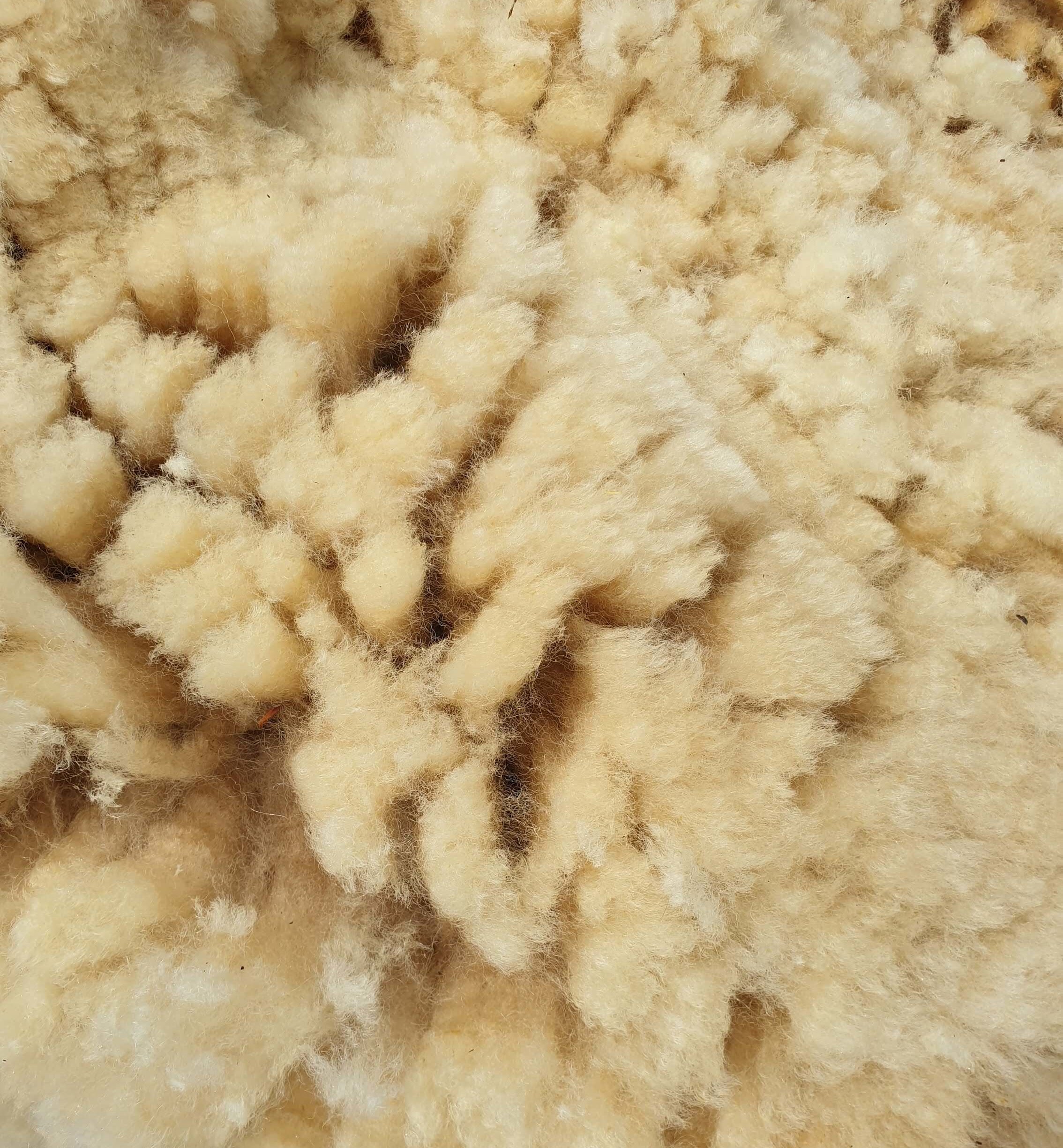 Pflückschaf